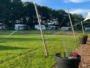 Ruime plaatsen op boerderijcamping Op het erf in Wapse